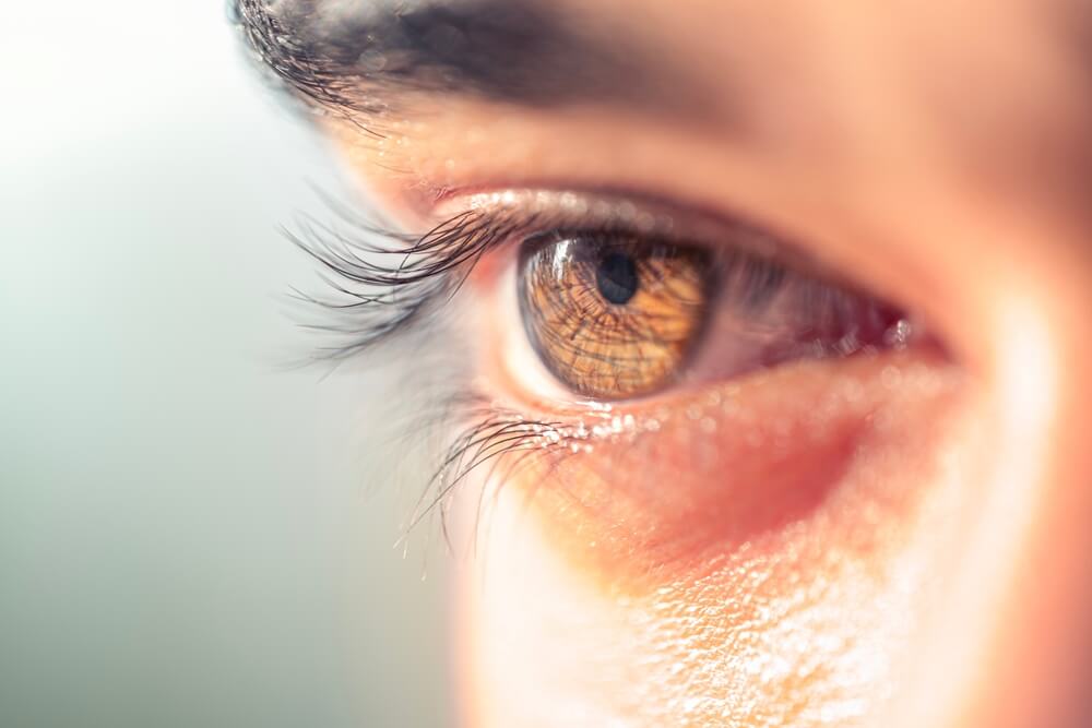 Ocular Disease Management Coon Rapids