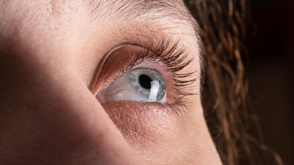 Ocular Disease Management New Brighton